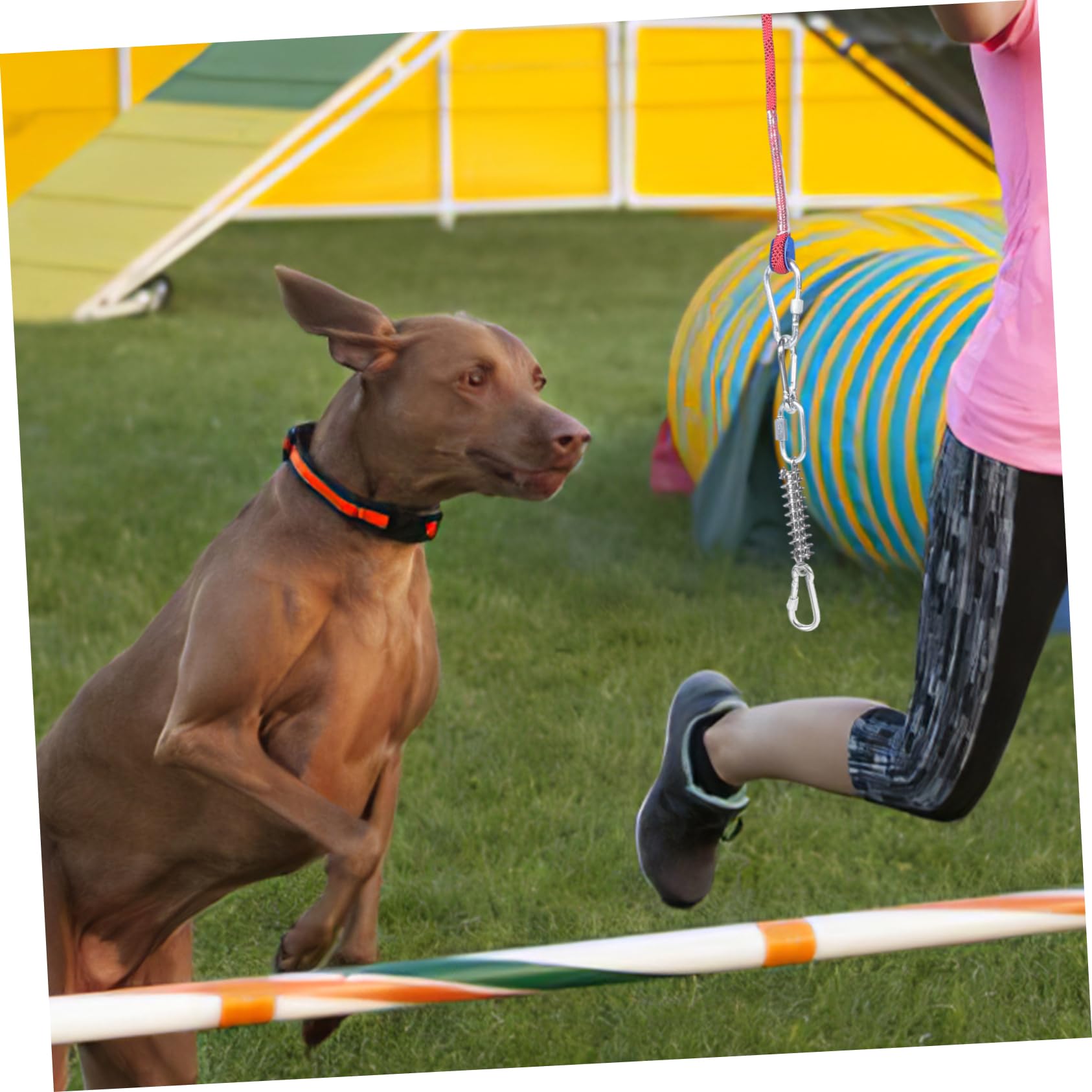 Didiseaon Correa para Perro Cable De Amarre para Perros Cuerda para Acampar para Mascotas para Camping y Actividades Resistente y para