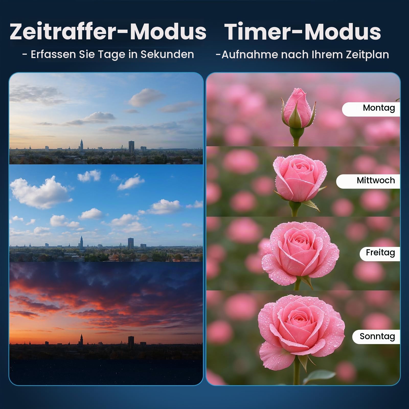 WiFi Zeitraffer Kamera 4K AVI Video, 48MP-Fotos Zeitrafferkamera mit LED-Fülllicht, 180 Tage Aufnahme Wiederaufladbare Time Lapse Kamera für Baustellen, Pflanzen, Gartenarbeit, Kochen (32GB-Karte)