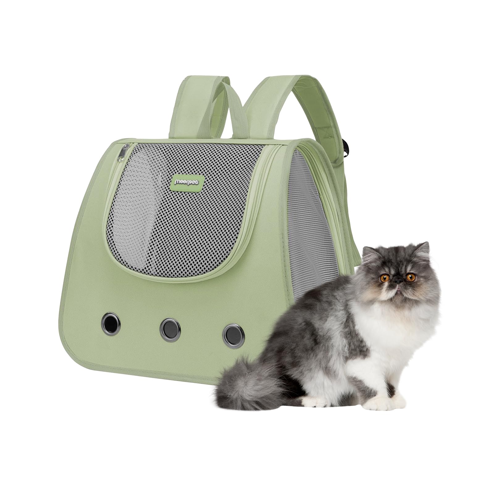 BOSERMEN Cat Backpack, Fully Ventilated Collapsible Dog Backpack for Outdoor Travel Hiking Camping, Dog Backpack, Portable Pet Backpack(Green)