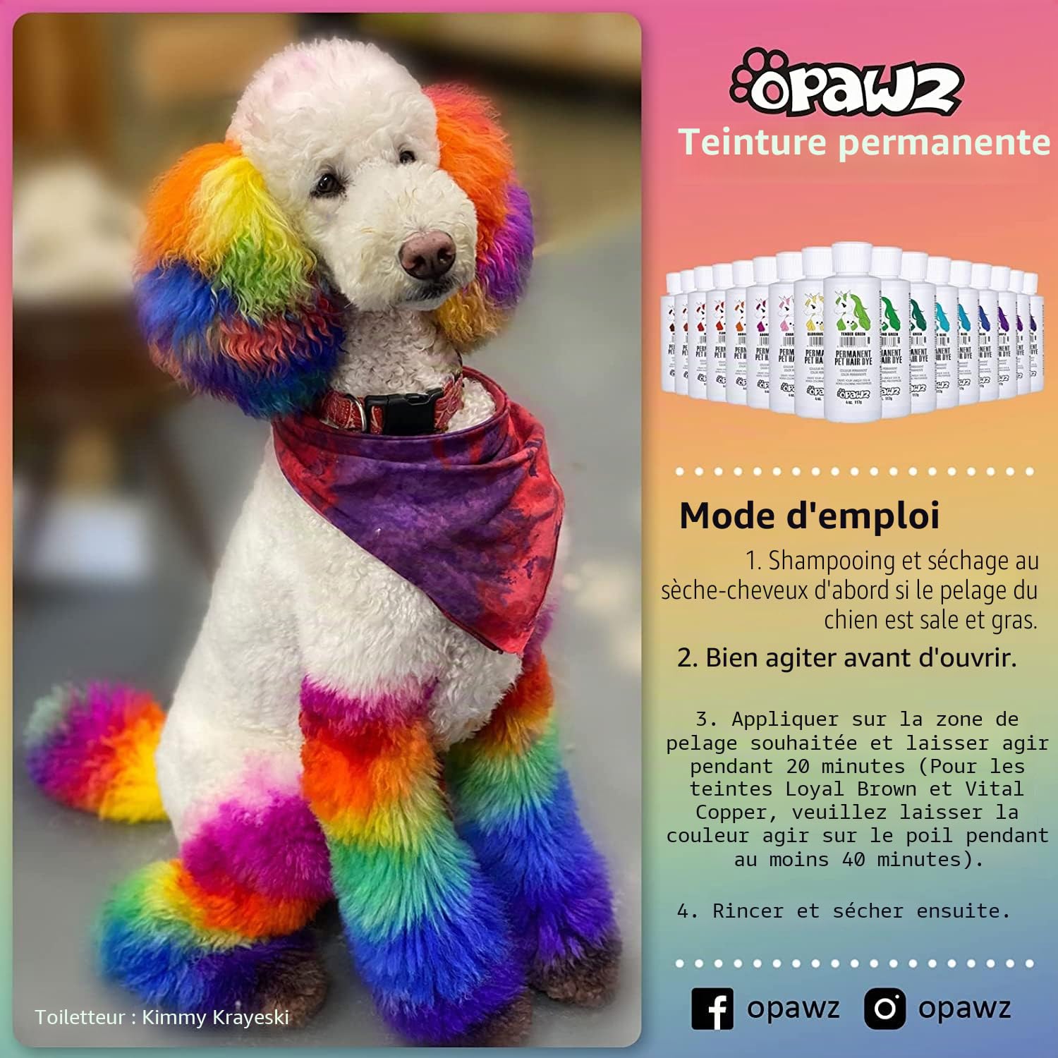 Qqmora Crème de coloration pour poils d'animaux Parfum professionnel pour animaux de compagnie