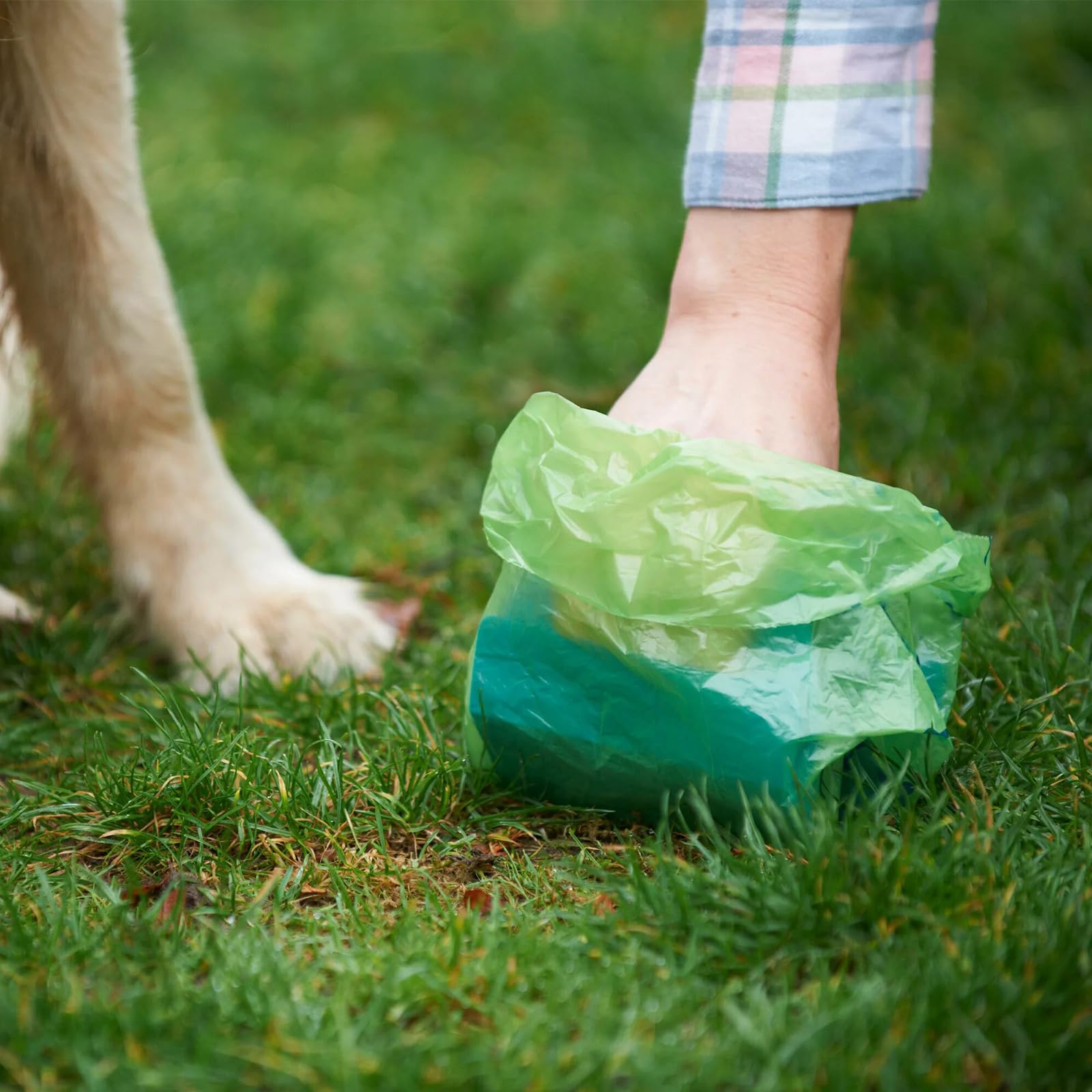 Sacchetti Per Bisogni Cane Biodegradabili - 150 Pezzi Extra Spessi E Anti-odore - Foto 2