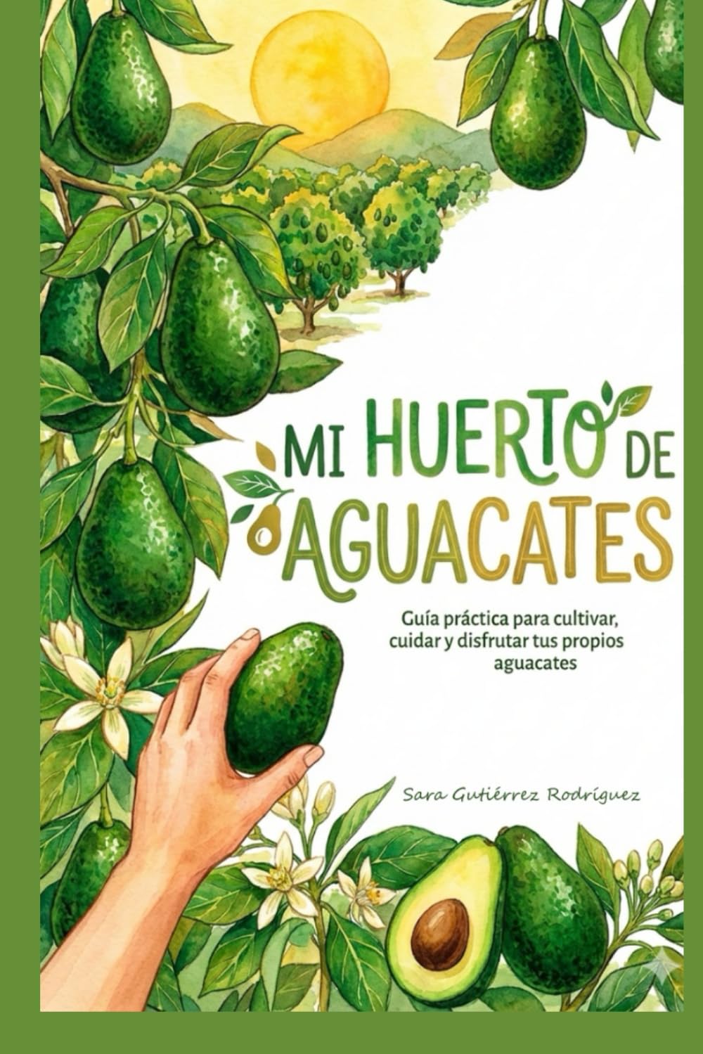 Mi huerto de aguacates: Guía realista para entender y cuidar el aguacate