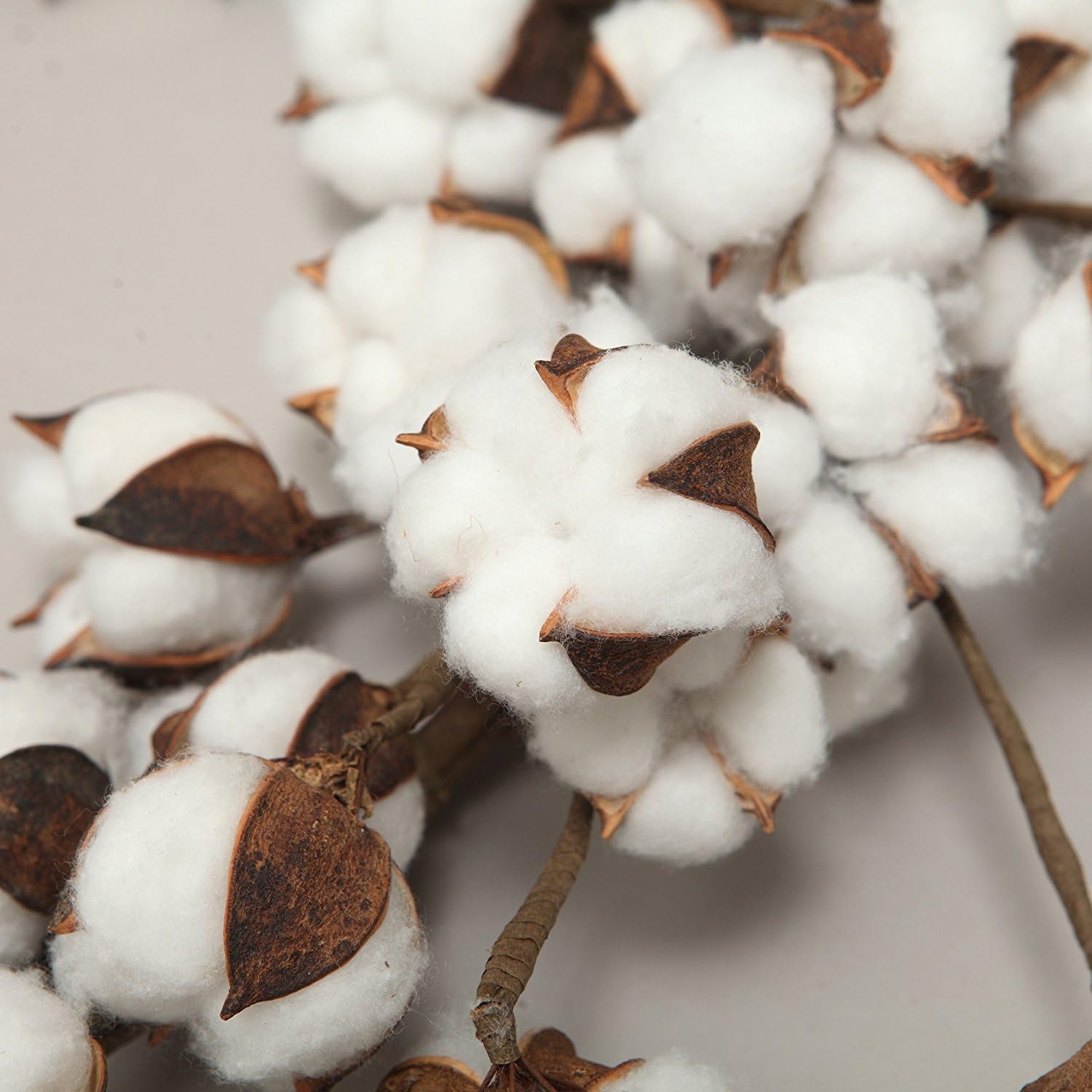 ASSR Real Cotton Bolls Wreath, Farmhouse Natural White Cotton Adjustable Stems for Indoor Home Wedding Centerpiece Decor Christmas Vintage Wreath Diameter 12"-24"