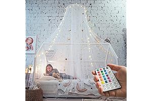 Chic Canopies for Twin Beds