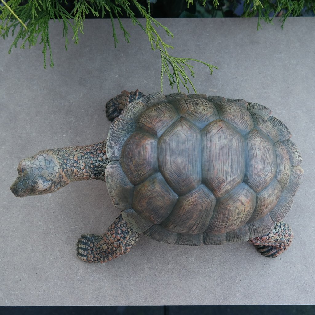 FDSt Dekofigur Schildkröte Tierfigur Gartenfigur wetterfest
