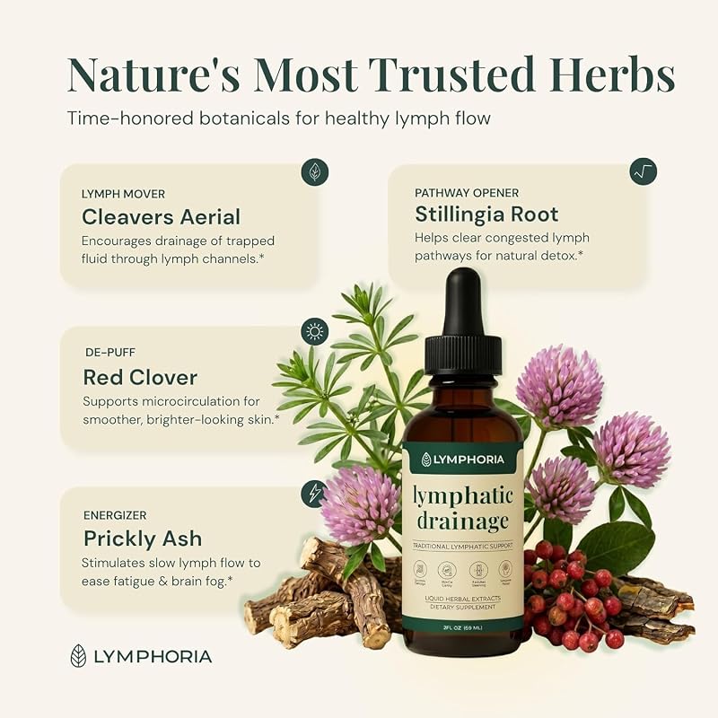 Lymphoria Lymphatic Drainage Drops for Bloat Relief & De-Puff – Cleavers, Red Clover, Stillingia Root & Prickly Ash Bark – Lymph Node Detox Cleanse, Fluid Retention – Alcohol-Free, Vegan, 2 Fl Oz image 7