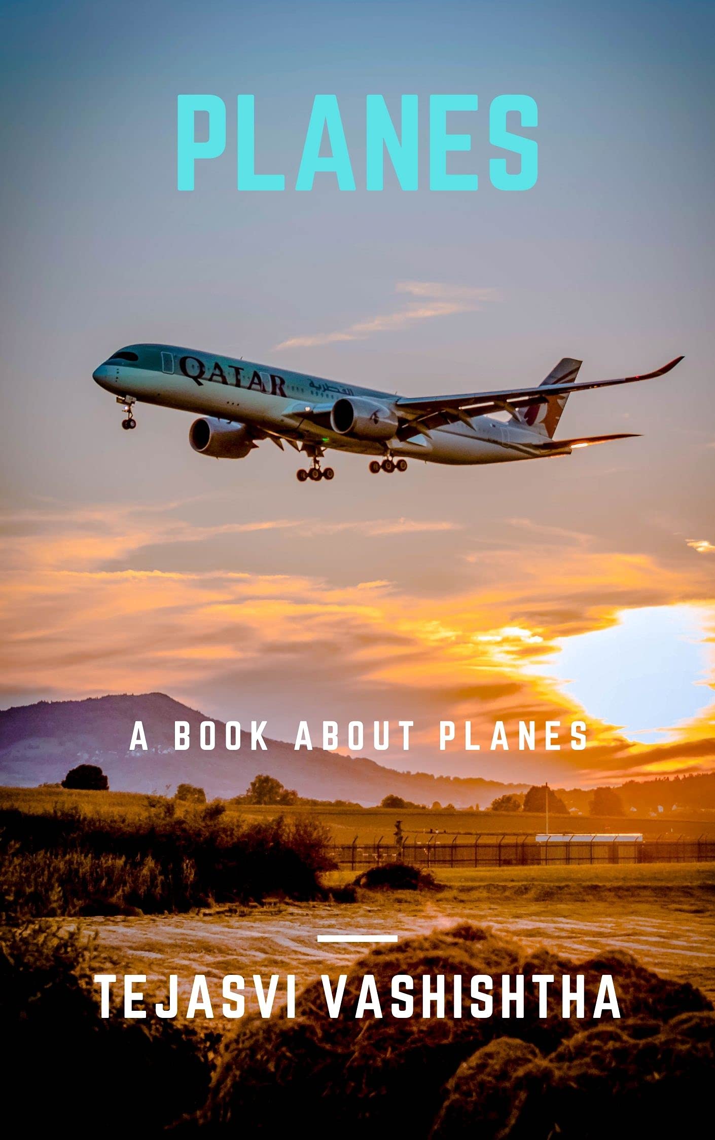 Planes: A Book About Planes