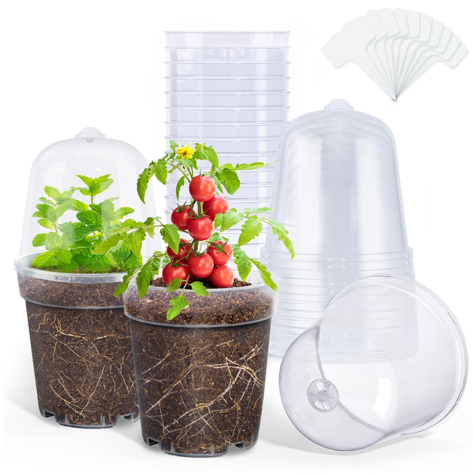 homenote 5 Inch Clear Nursery Pots with Humidity Domes and Labels (15 Pcs)