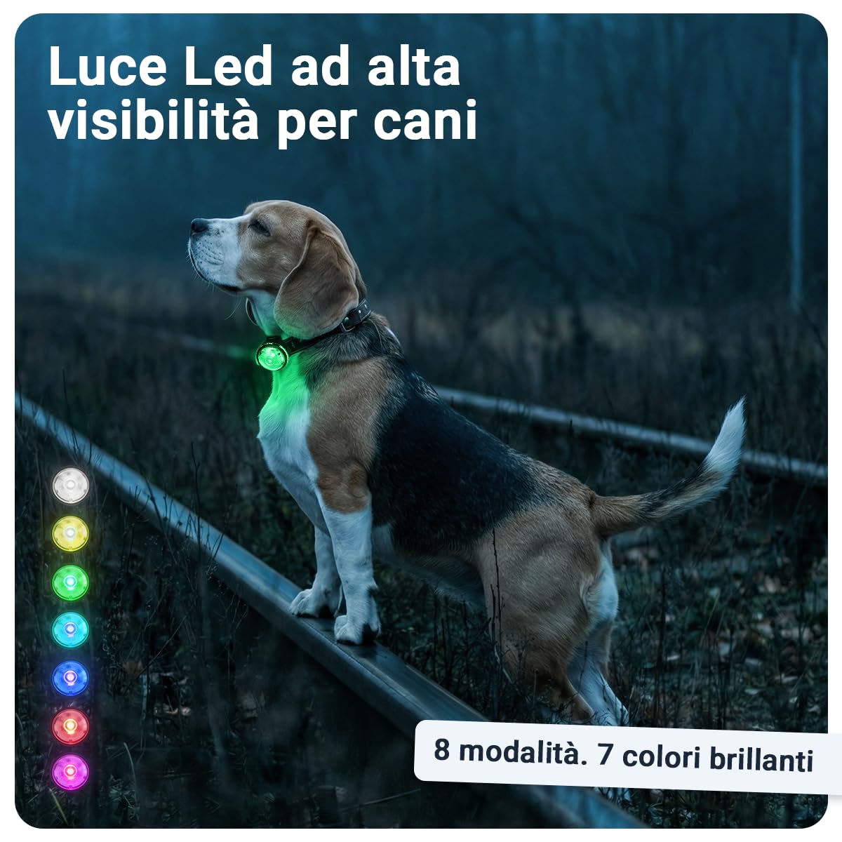 PAJ LIGHT MINI - LED Ultraluminoso per Collari e Pettorine - Cani Piccoli, Medi e Gatti - Regolazione Flessibile - 100% Impermeabile - 7 Colori - Sicurezza e Visibilità Notturna