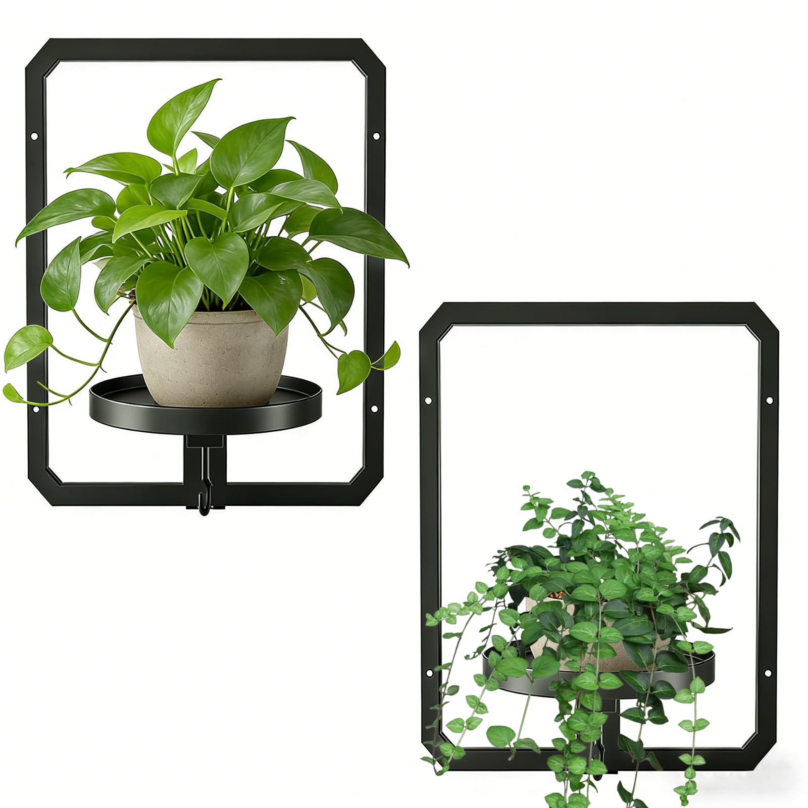 DETENE 2 Pack Metal Wall Plant Stand Indoor Hanging Plant