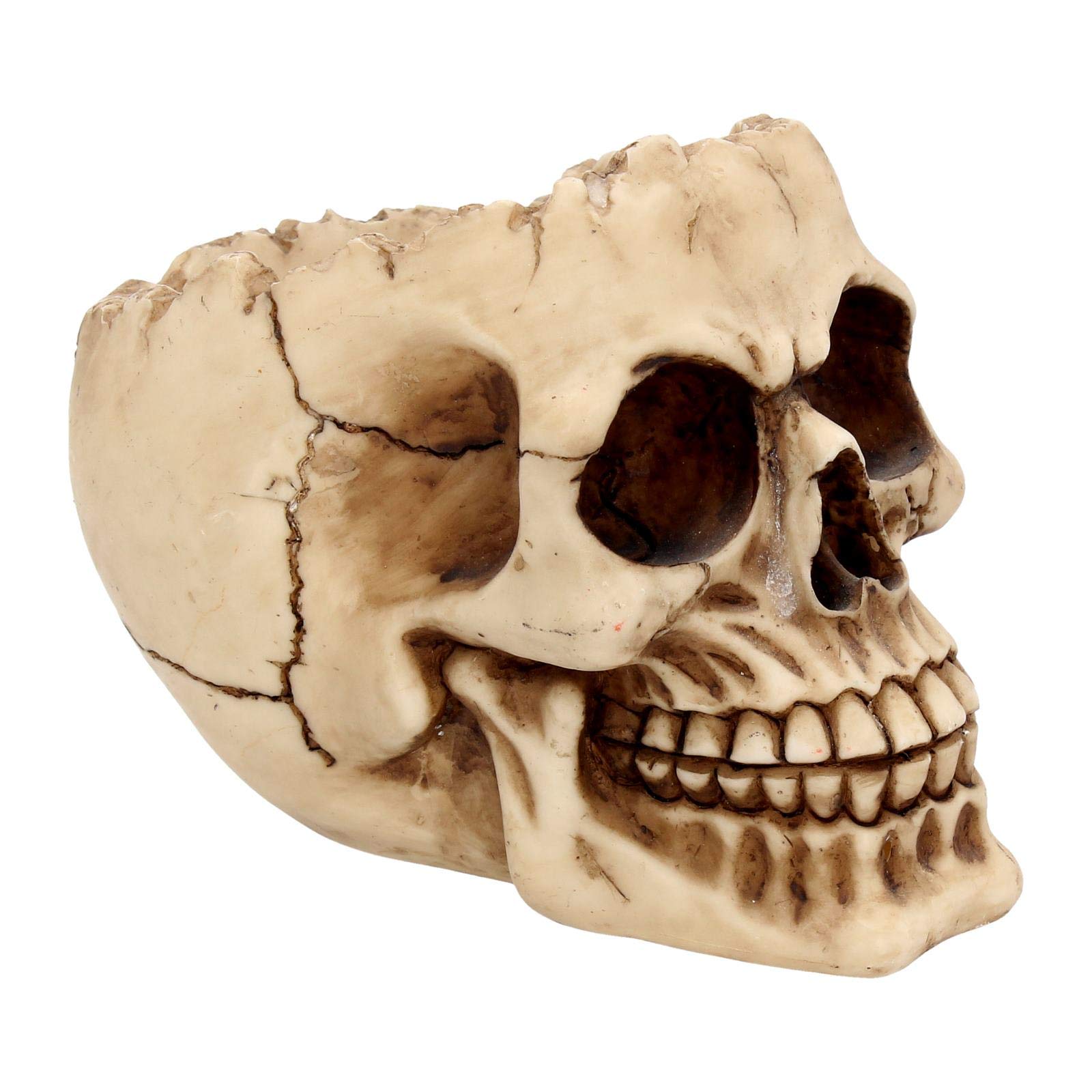 Posacenere A Teschio Nemesis Now - Resina, Colore Avorio, 13.5 Cm, Design Gotico - Foto 9