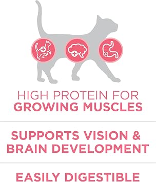 Purina ONE High Protein, Natural Dry Kitten Food, +Plus Healthy Kitten Formula - 7 lb. Bag