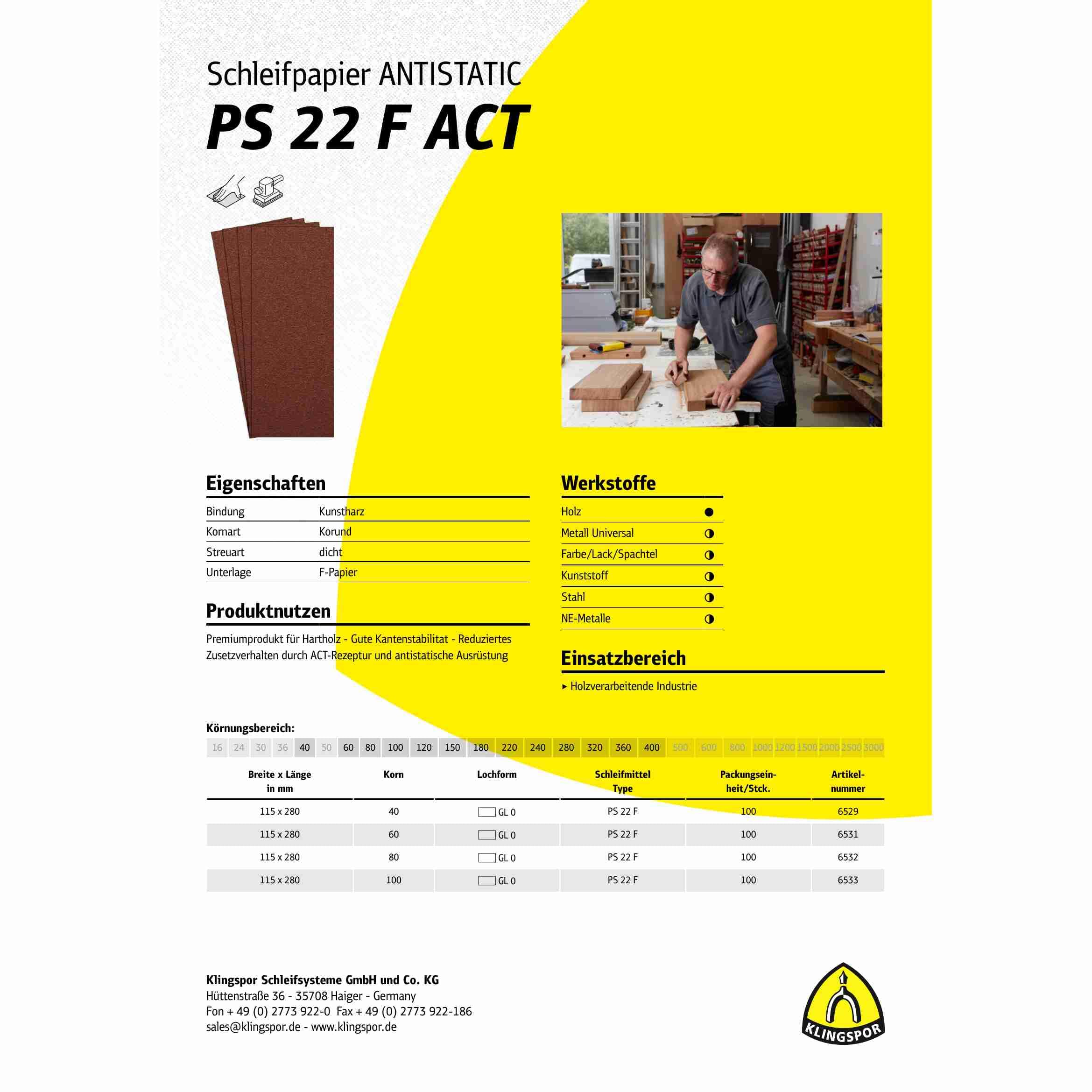 PS 22 F 6531 - Bandas de lija (100 unidades, 115 x 280 mm, grano 60)