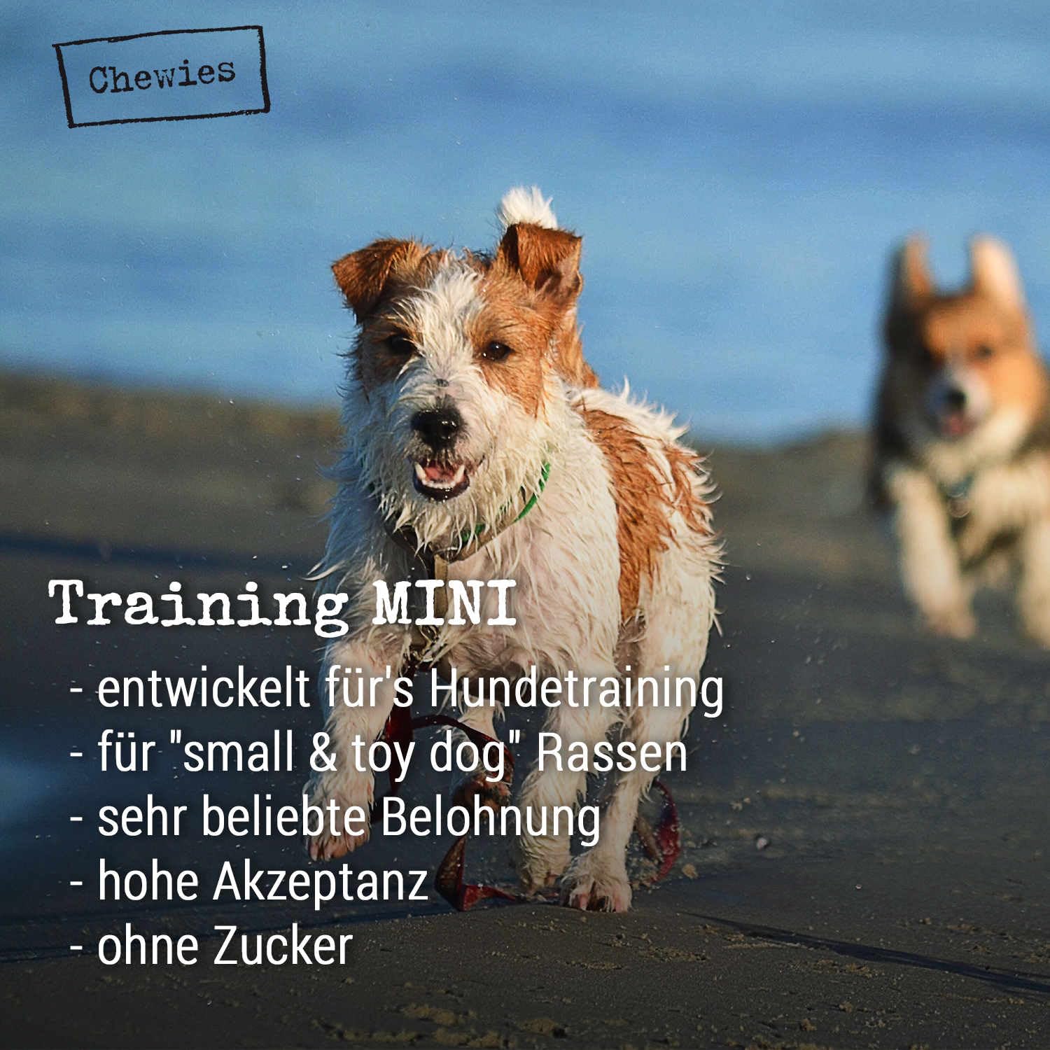 Chewies Hundeleckerli Mix-Paket, Training Mini Knöchelchen 18 x 125 g für Hunde - Rind, Pansen, Geflügel, Lamm, Wild & Lachs Trainings-Leckerli - Hundesnacks zuckerfrei & mit hohem Fleischanteil