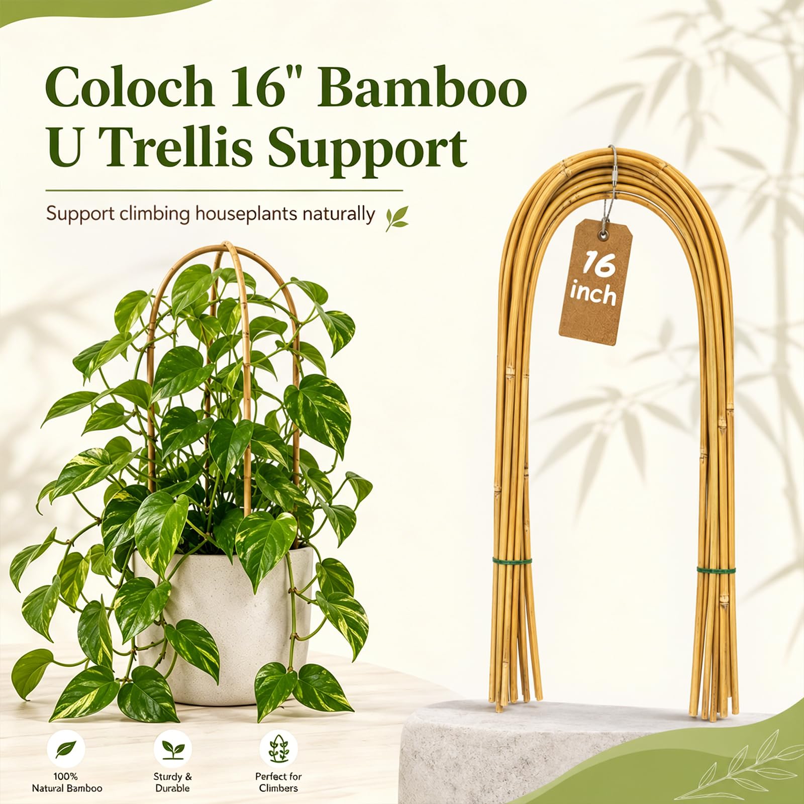 Amazon.com : Coloch 20 Pack Bamboo U Trellis Support, 16 Inch U