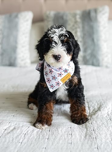 Miniatura 3 de Willow Creek Pet Apparel Pañuelo para perros y cachorros  Paquete de 2 unidades del 4 de julio  Tela duradera de doble capa  Lindo y moderno  Todas