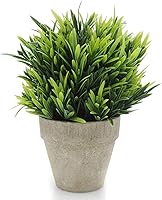 Vista 9 de Velener Mini Plantas Artificiales de Boj Topiario en Maceta Verde Salvia para Decoración del Hogar Interior, Planta Estilo Granja para Casa Oficina