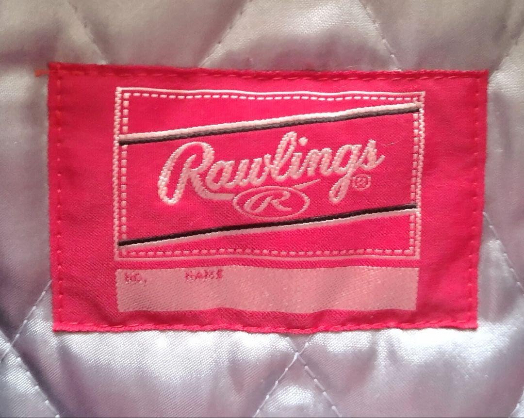 Amazon.co.jp: 実使用オリックス バファローズ サーパス 濱中 グランド