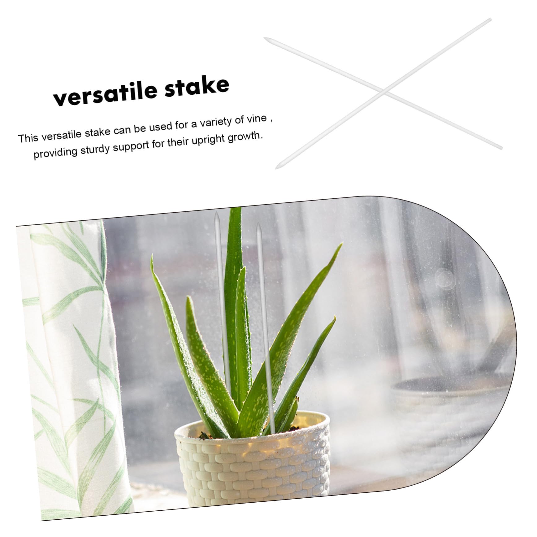 ibasenice 3 Ensembles Piquets De Plantes Acrylique Transparent pour Soutien Vertical des Plantes Grimpantes Outil De Jardinage Pratique 16 Pièces * 3