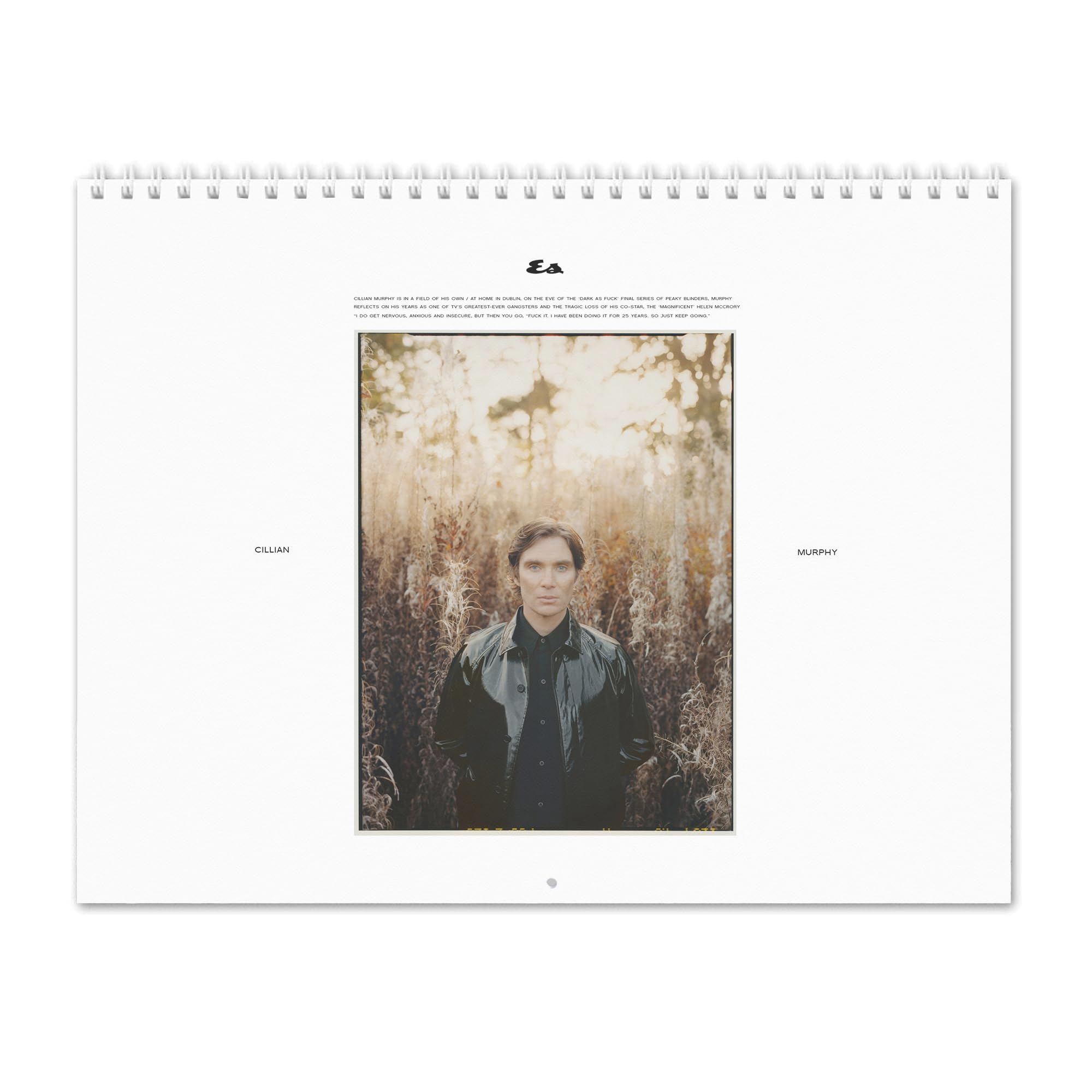 Cillian Murphy -Field Of His Own Wall Calendar