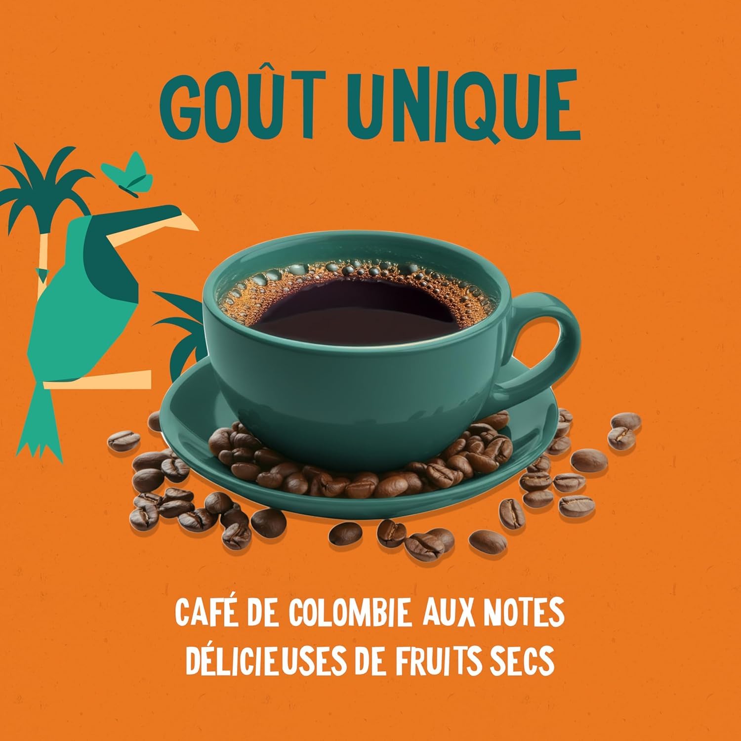ALTER ECO - Café Grains - Café Arabica Bio de Colombie - Issu du Commerce Equitable - 1 kg