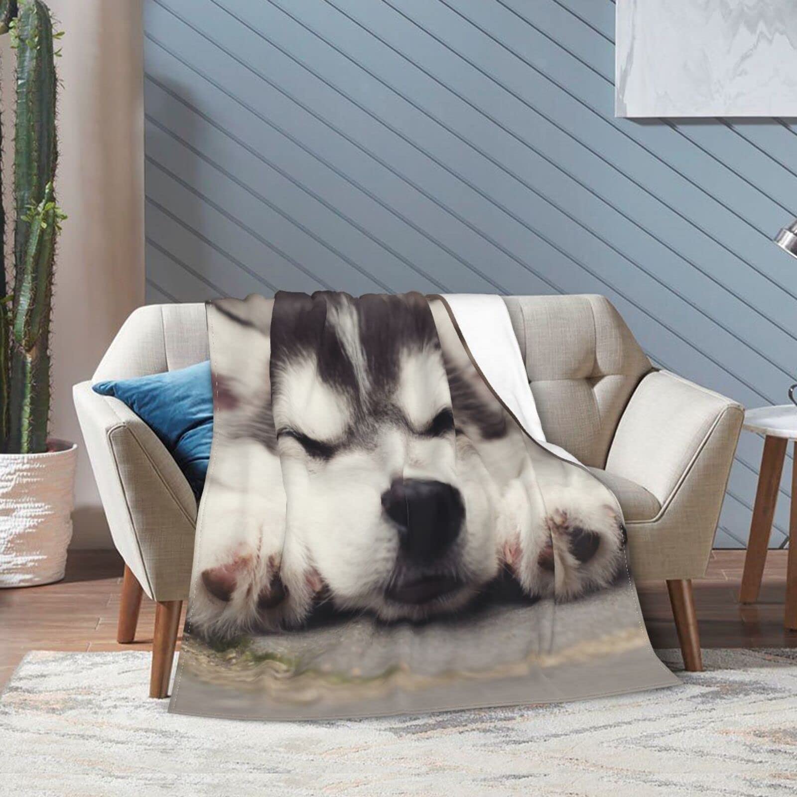 Amazon｜ハスキー 犬柄 アニメ 毛布 軽量 ブランケット フランネル