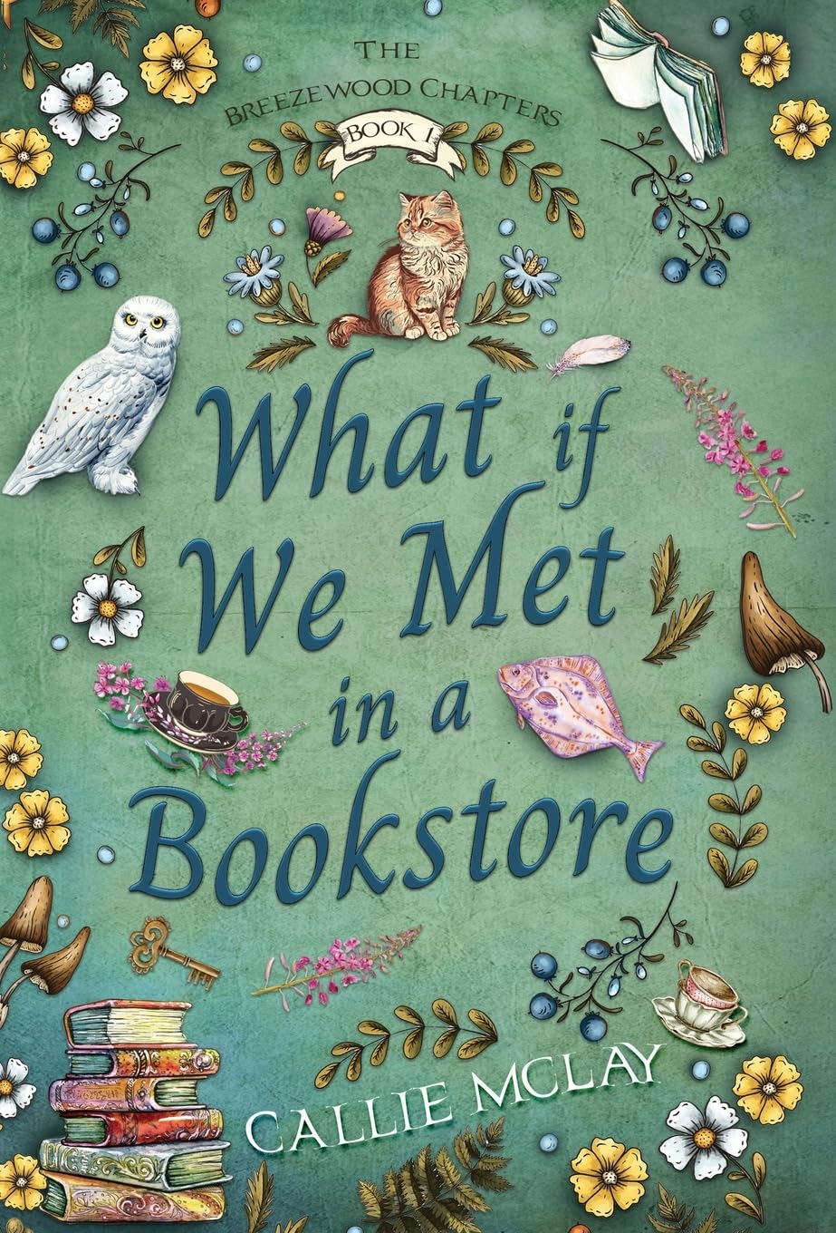 What If We Met In A Bookstore: 1 (Breezewood Chapters)