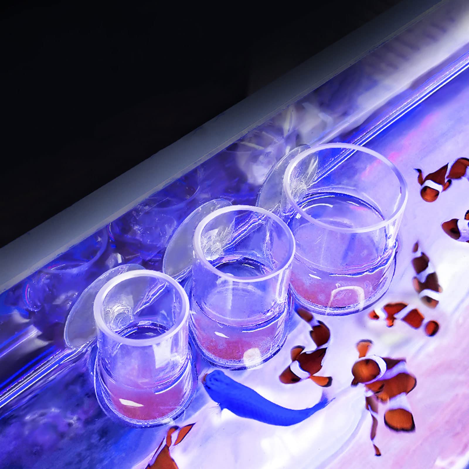 Clear Acrylic Aquarium Fish Feeder Anti-Drift Shrimp Fish Food Feeding Fish Feeding Jar Aquarium Accessories