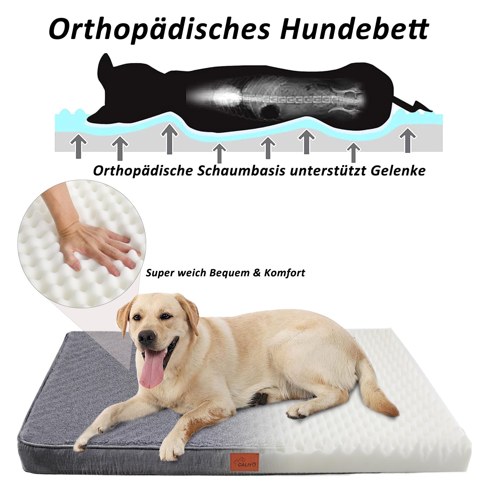 CALIYO Cama ortopédica para perros, cojín para perros pequeños, 76 × 51 × 7,6 cm, alfombrilla para perros lavables, espuma viscoelástica para perros pequeños (gris oscuro)