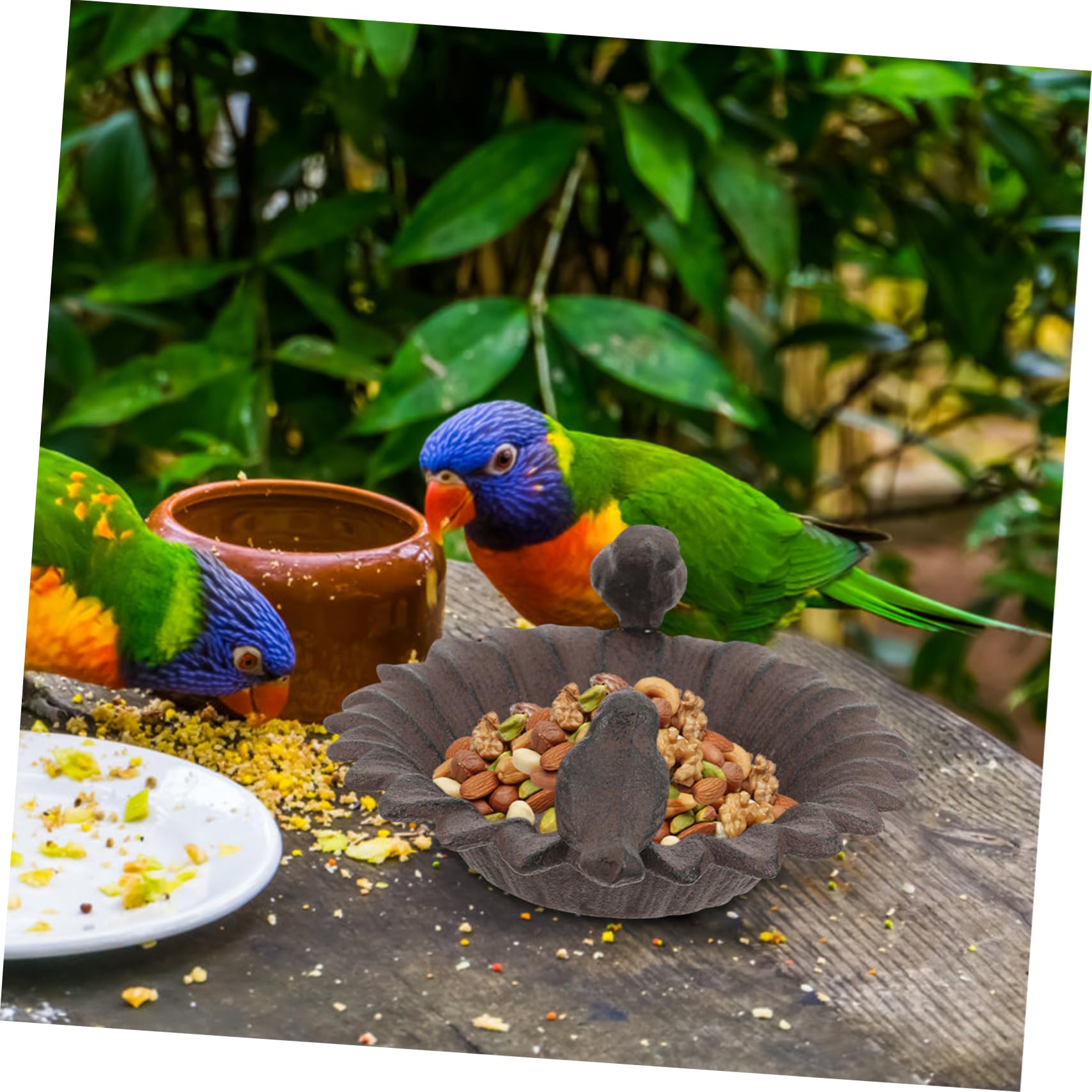 Abaodam Mangeoire à Oiseaux pour Jardin Nourrisseur Compact et Stable pour Petits Oiseaux pour Canaris Perroquets et Alouettes Décoration pour Balcon Cour et Jardin