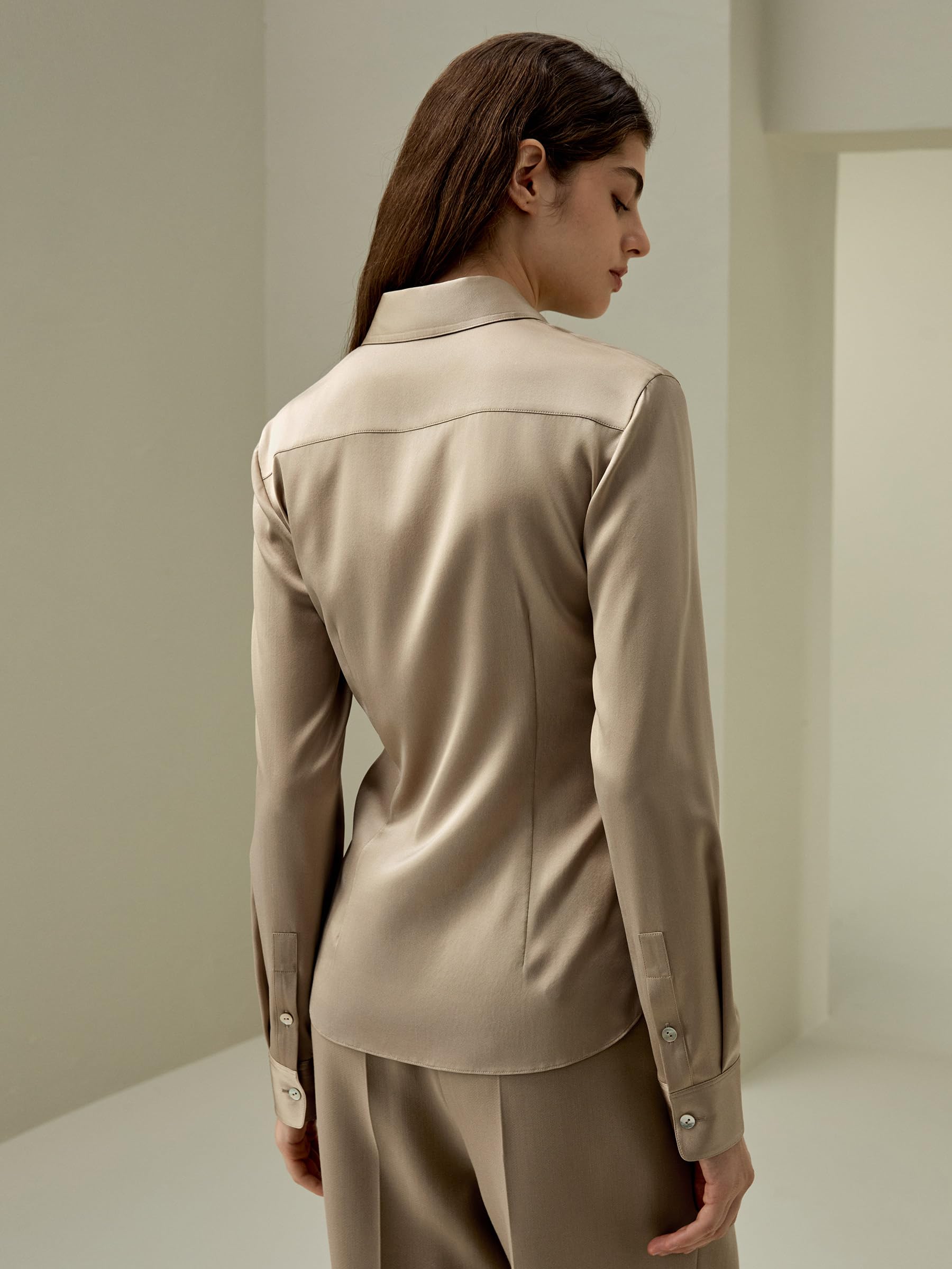LilySilk Damen Seidenhemd Klassische Bluse Mit Verdecktem Knopfverschluss und Tailliertem Rückenteil-Design Für Verschiedene Anlässe