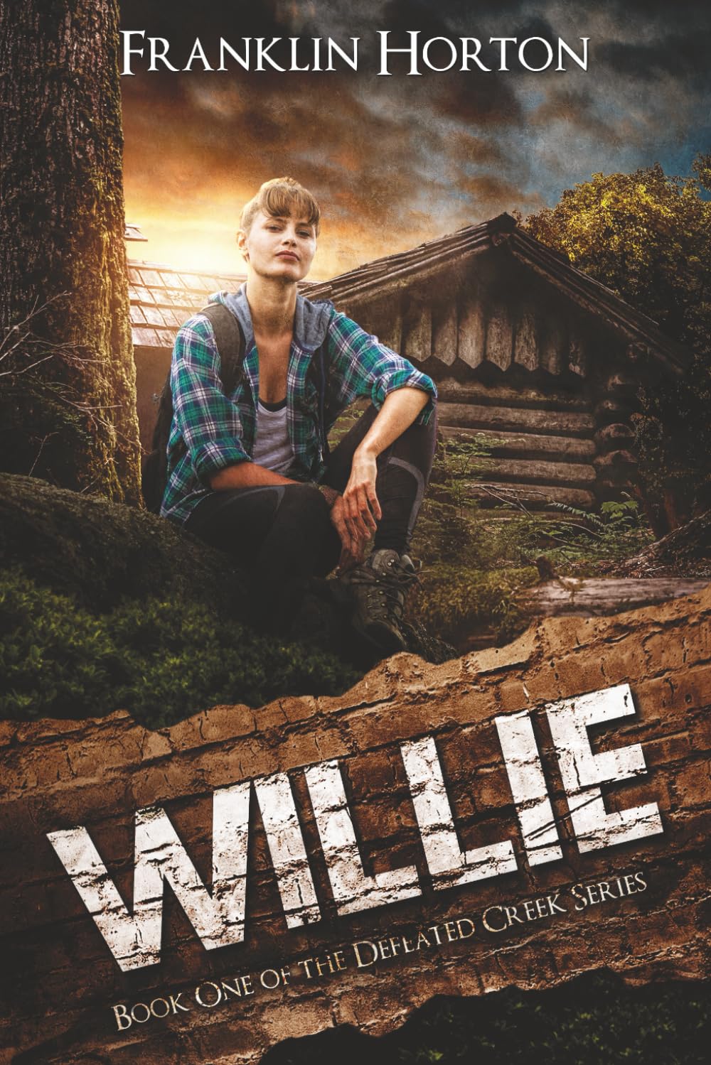 Willie: Book One in the Defeated Creek Series