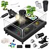 GOZILLA Small Turtle Tank KitTankLampFilter, Acrylic Turtle Starter Kit with Adjustable Lamp, Reptile Habitat and Terrarium with Multi-Functional Areas for Small Reptiles. Black Kit