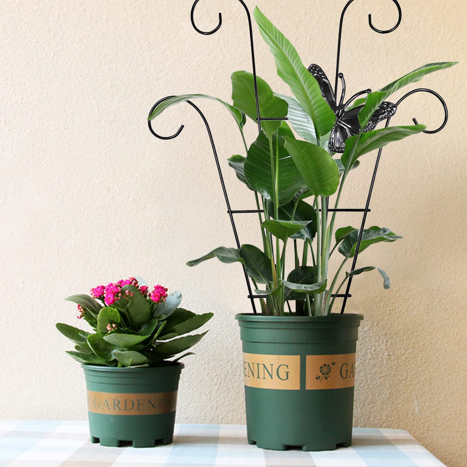 Soporte De Acero Inoxidable Para Plantas Trepadoras - 24 M De Cable, 16 Soportes, Diseño DIY Para Jardín