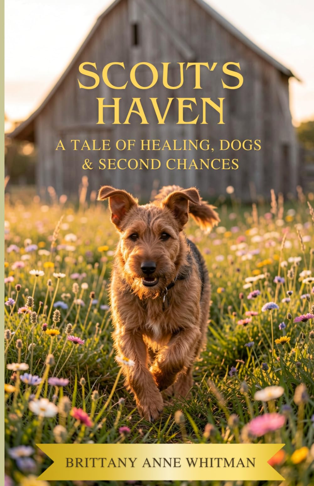 Scout's Haven: A Tale of Healing, Dogs & Second Chances