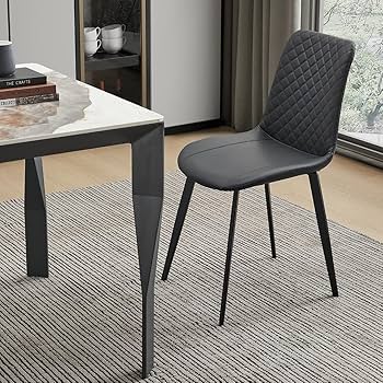 Seonyou Black Dining Chairs Set of 2 with Sturdy Metal Legs