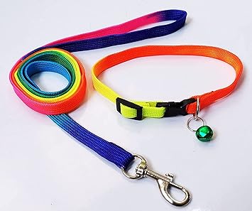 RvPaws Rainbow Dog Collar & Leash for Puppies, Small Dogs, Cat Collar with Bell (Adjustable Neck Size : 7-12nch) Dog Head Collar Dogs, Cat Collar with Bell (Color May Vary)