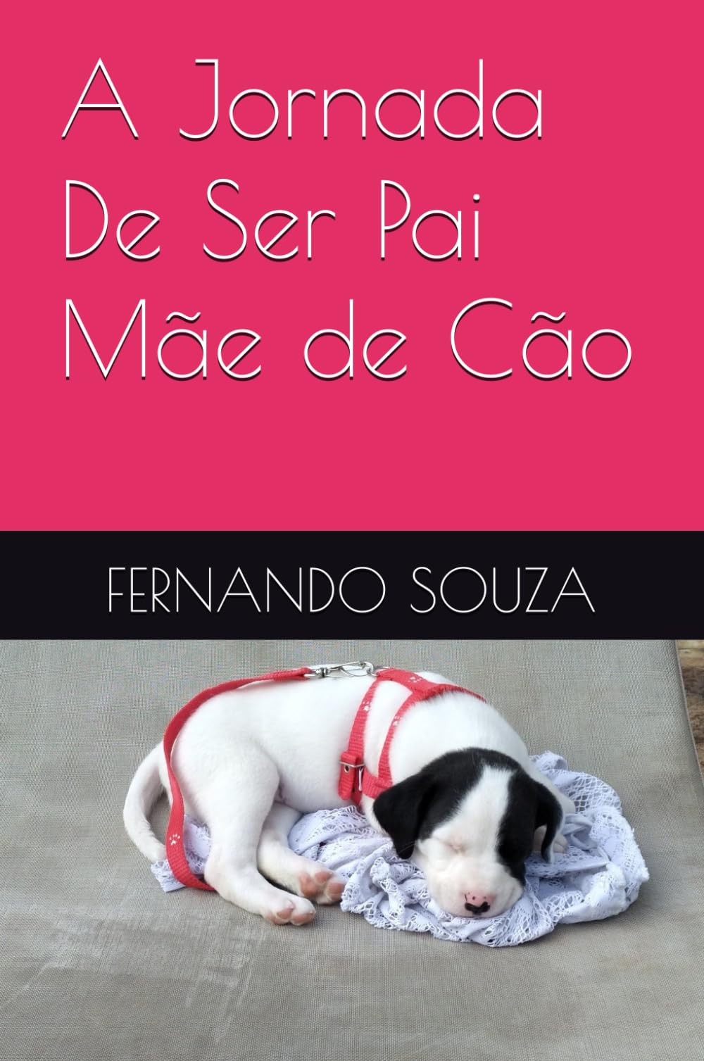 A Jornada De Ser Pai Mãe de Cão