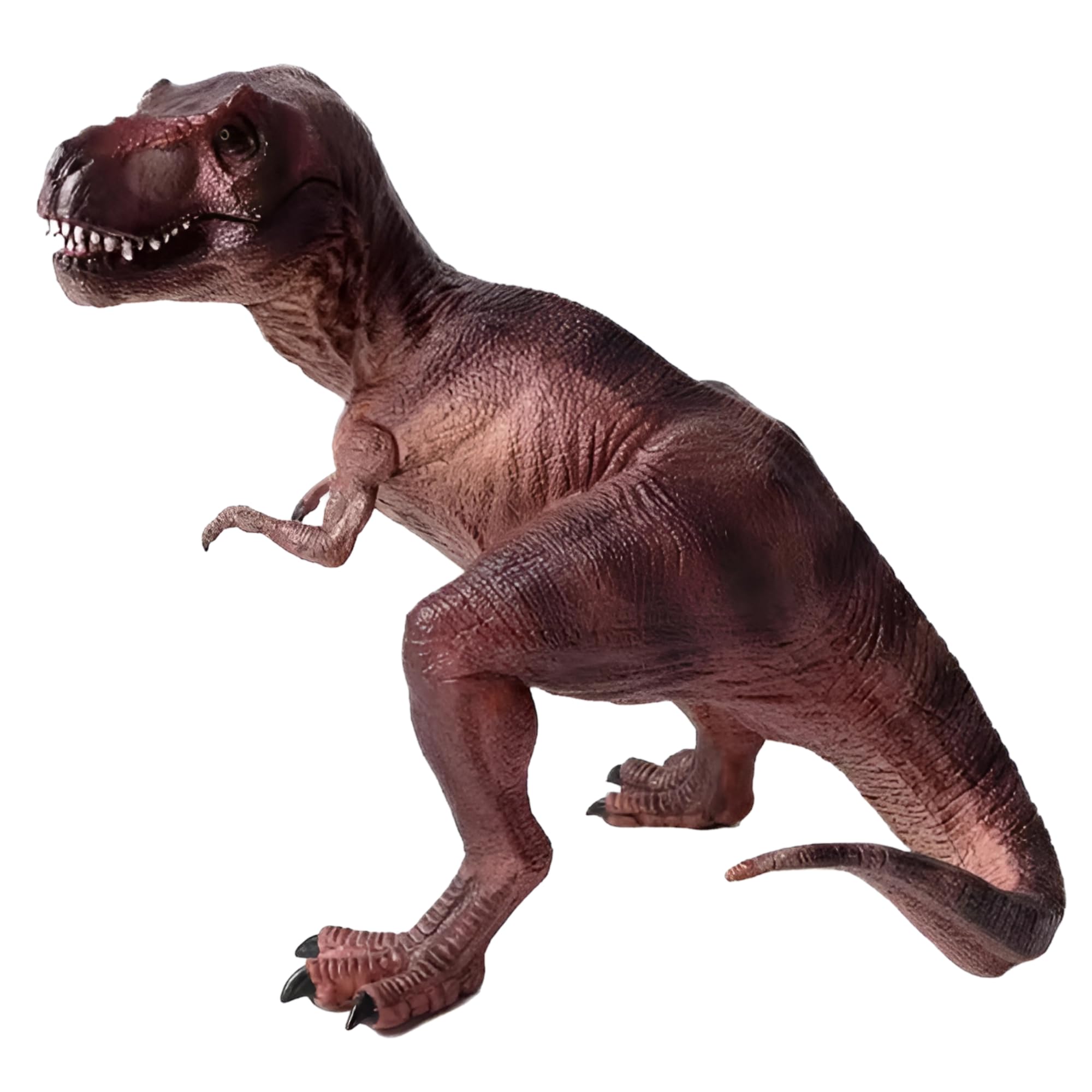 T Rex Toy Dinosaur Action Figure, Realistic Tyrannosaurus Rex Big Dinosaurs Toys for Kids, Trex Toy for Play and Display, Jurassic Dino Toys for Boys & Girls (T Rex)-image-11