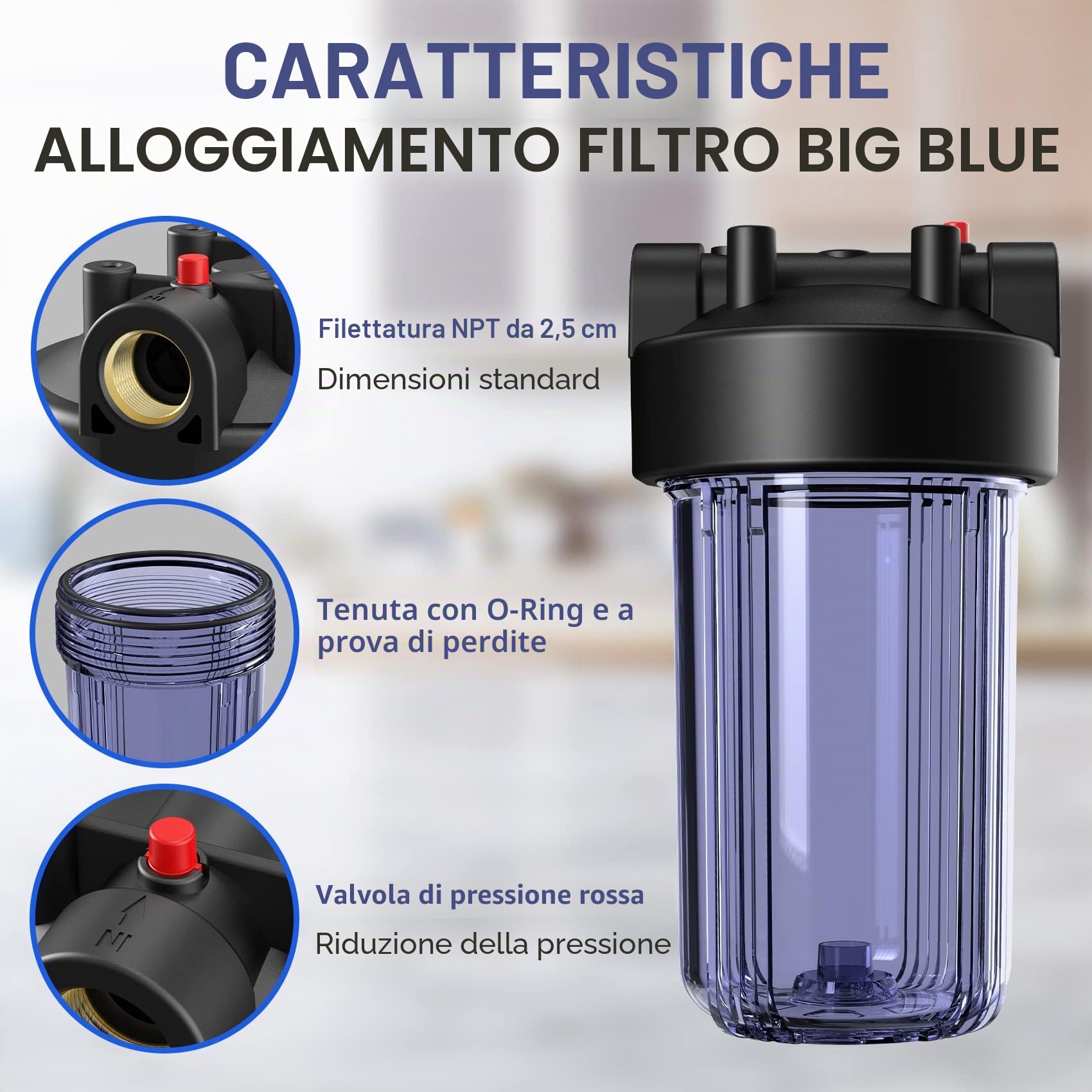 SimPure DB10C Filtro per l'acqua 10"x4,5", Sistema di Filtraggio dell'Acqua per Tutta la Casa con Supporto e Chiave, Porta di Ingresso/Uscita in Ottone da 1" BSP