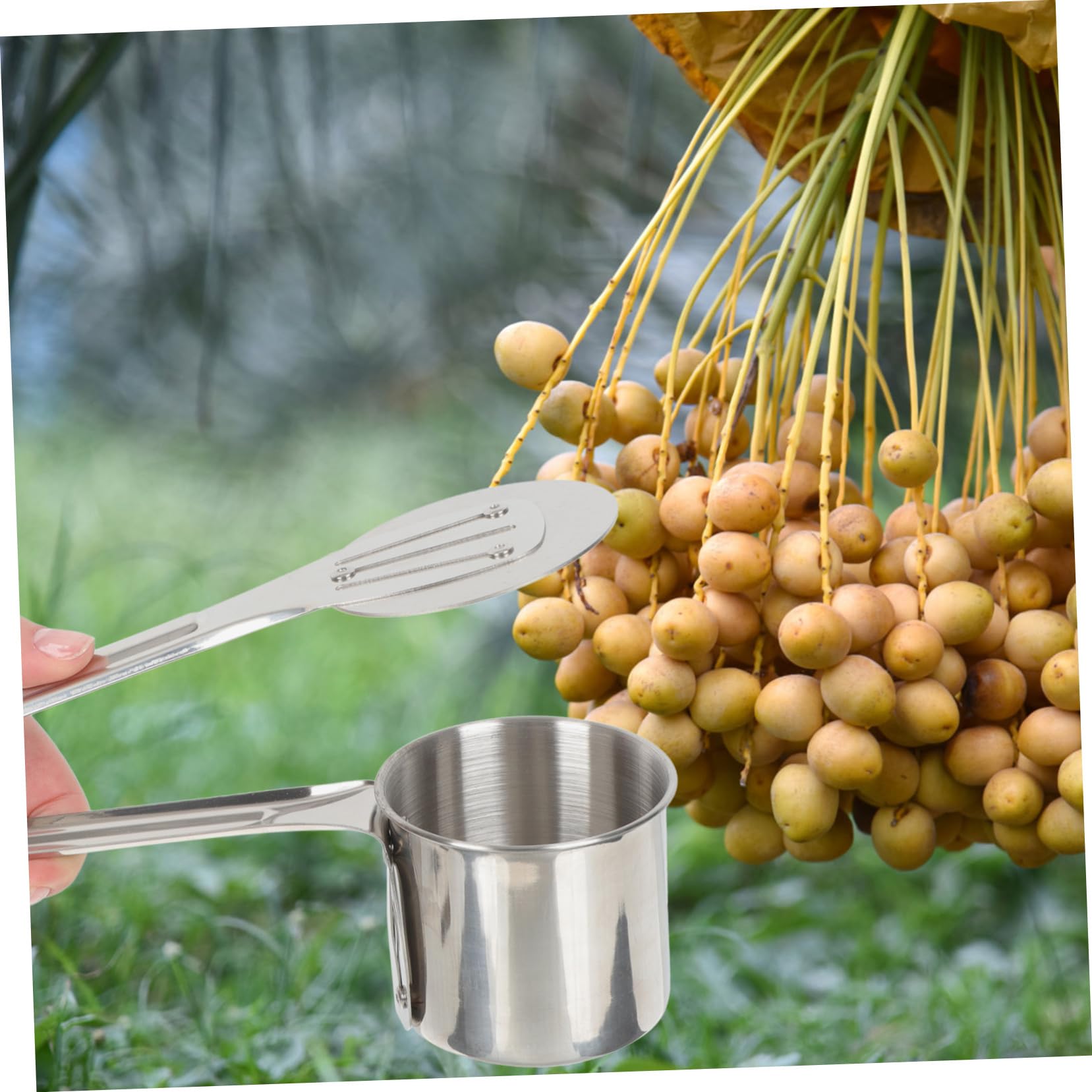 Cabilock Ergonomic Fruit Tool Berry Picker Rake for Gardening Sturdy and Non-slip Design for Easy Fruit Collection