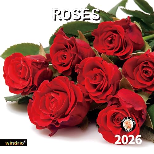 2026 Wall Calendar,Calendar 2026, November 2025 - December 2026, Wall