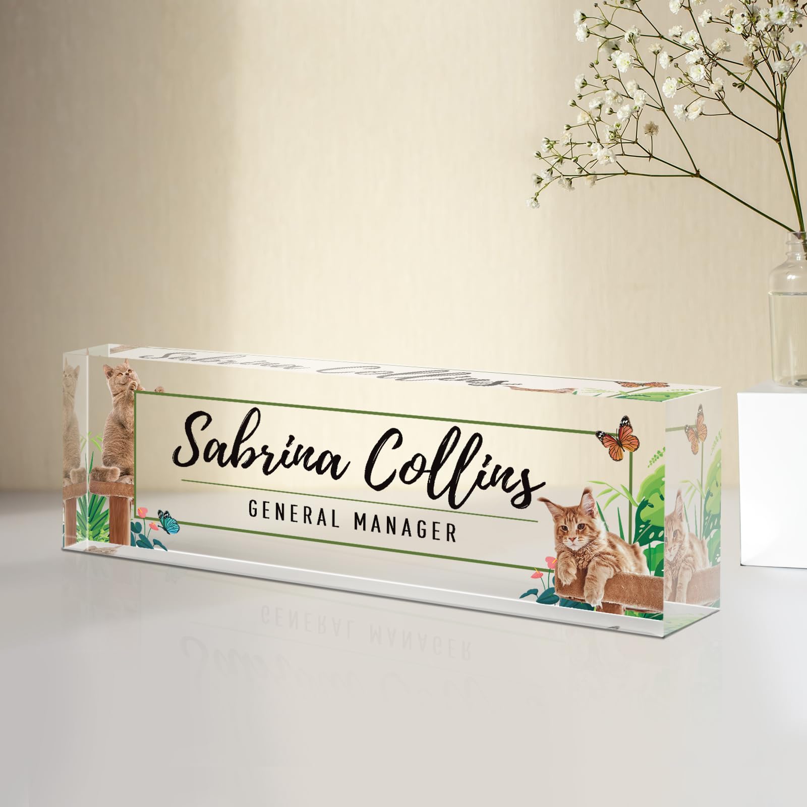 Custom Name Plate for Desk, Desk Name Plate Personalized, Employee Appreciation Gifts, Acrylic Desk Accessories, Office Desk Decorations, Office Gifts