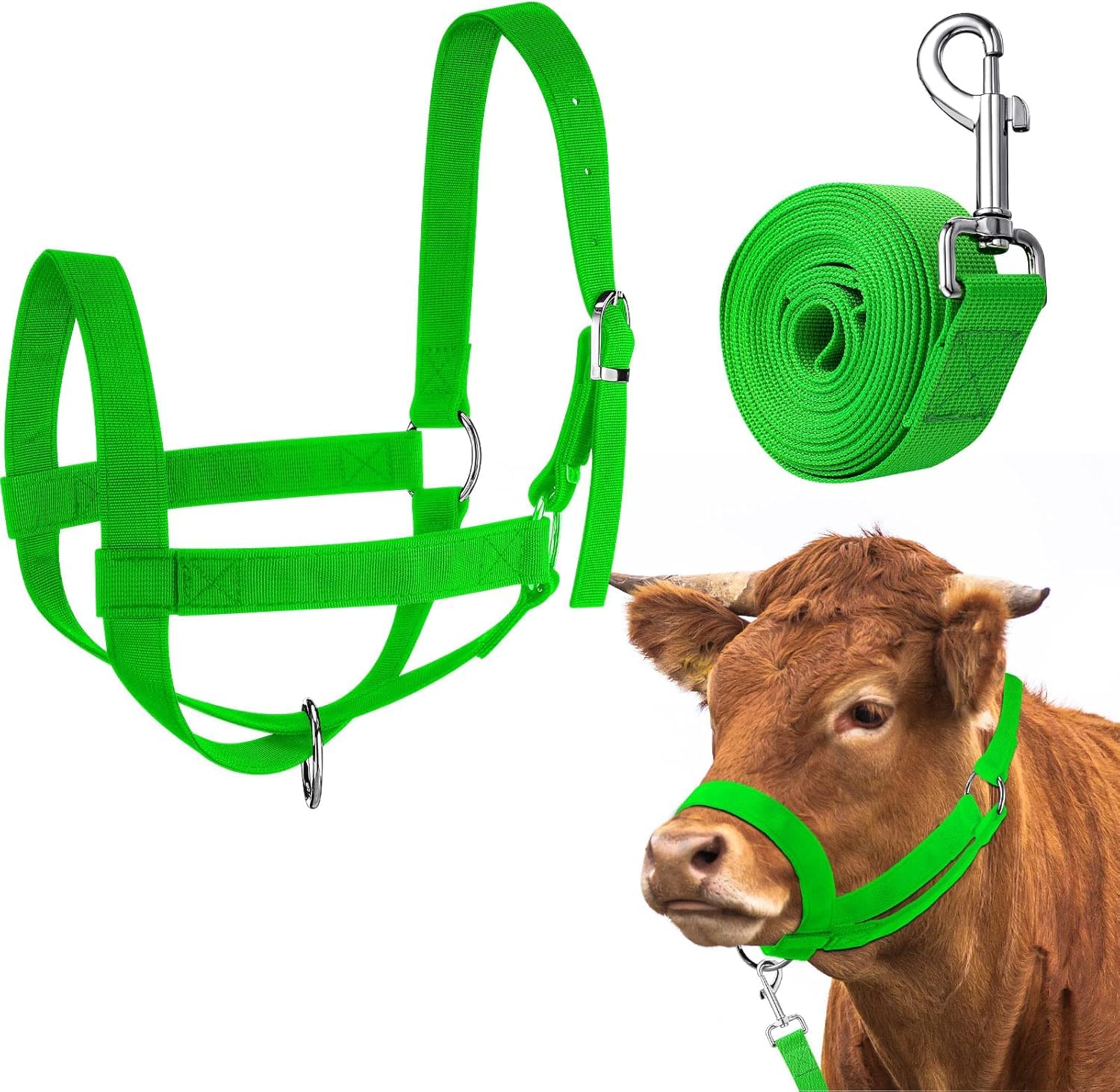 Cavezze per Bovini Cavezze per Vitelli Regolabili con Corda Principale per Cavezza per Cavezze per Cavalli in Miniatura Asino Capra Puledro in Nylon Cavezze per Bestiame Formazione, Green, M