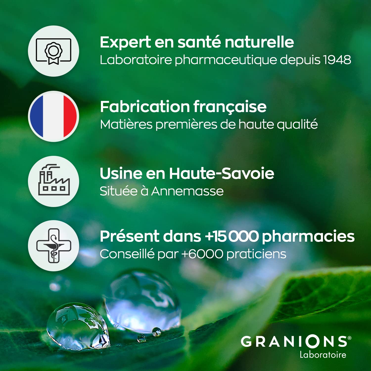Ail Noir fermenté GRANIONS | Complement Alimentaire cholestérol | Riche en Ail noir fermenté 500 mg avec Selenium + Chrome | Anti cholesterol naturel | Made in France | 60 comprimés
