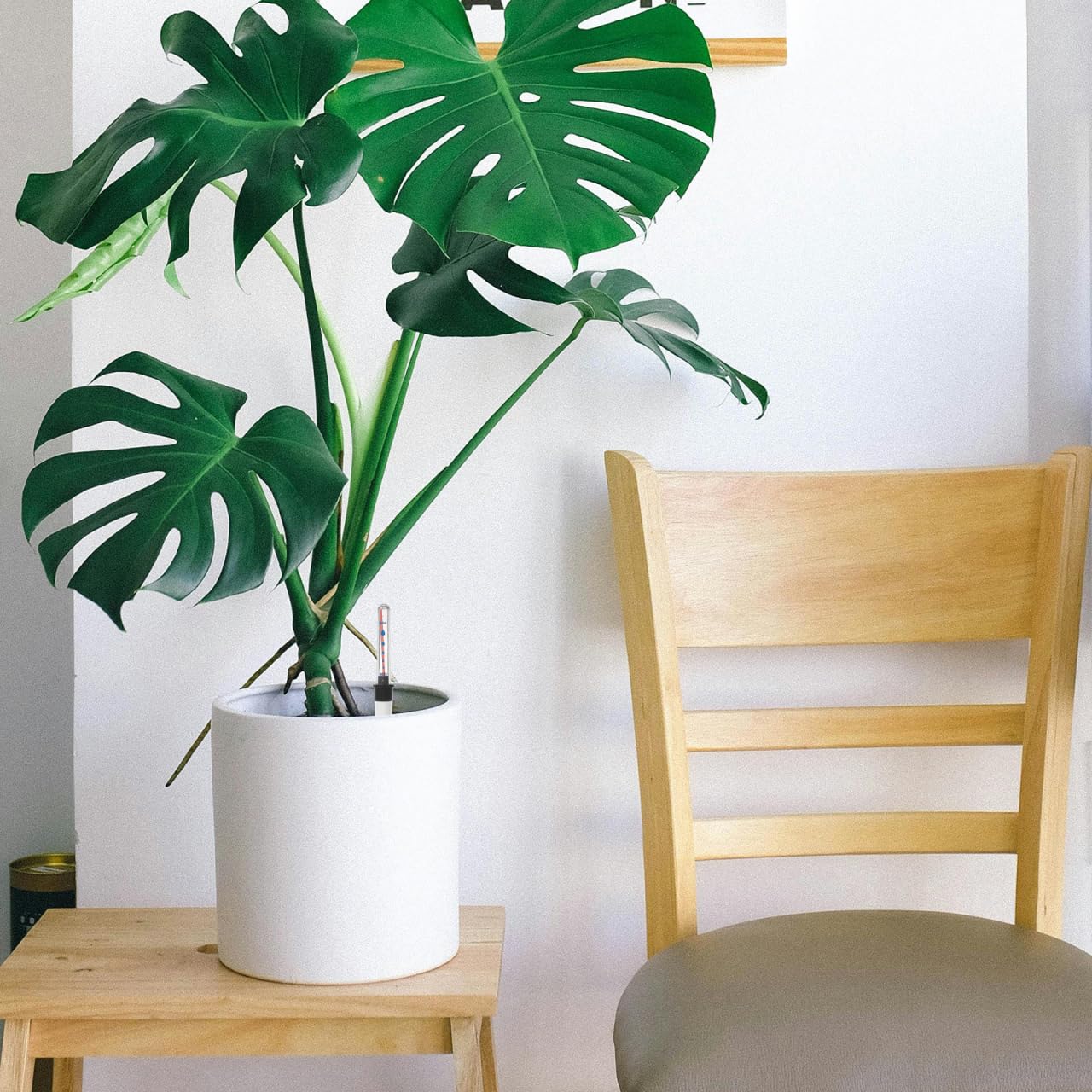 Interieur Pot Pour Jardin Indicateurs Niveau D'eau Pour Plantes - Lot De 2 ( 36cm, Hydroponie) Pot Pour Plantes Interieur Indicateur Arrosage Plante