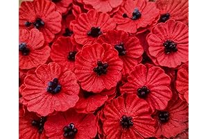 Handmade Veterans Day Poppies for Decoration and Remembrance