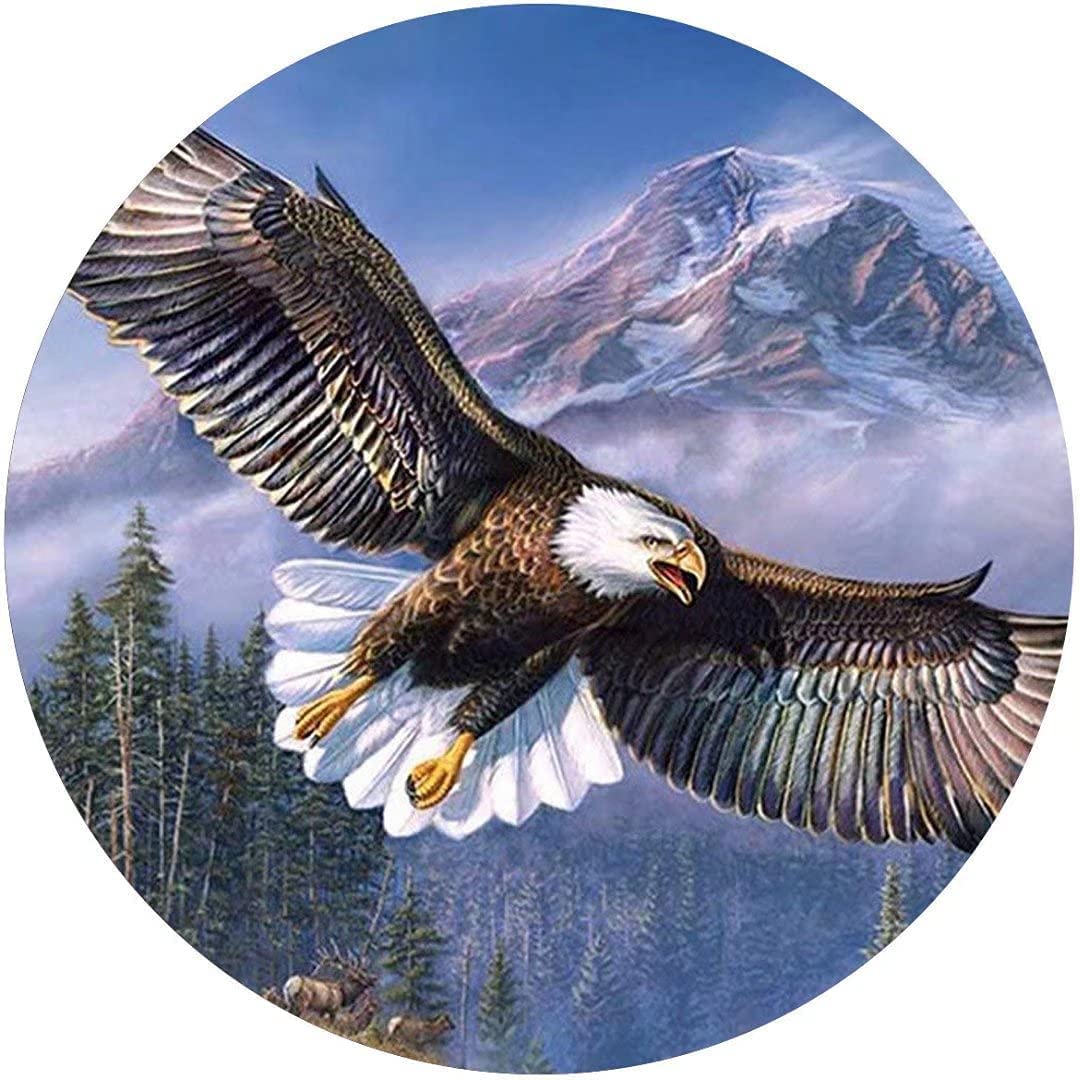 Wreath Round Metal Tin Sign,Eagle Bird,Eagle Painting,Fearless Eagle,Retro Metal Round Tin Signs Decor Wall Art Posters Gifts for Door Plaque Home Bars Clubs Cafes 12x12inch