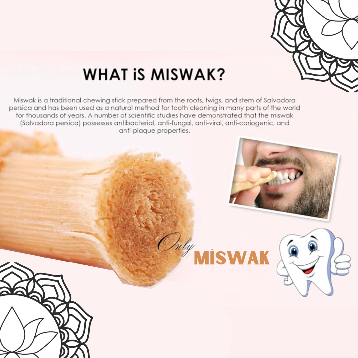 IDOBY Miswak Toothbrush, Pack of 10 Toothbrush, Traditional Toothbrush, 100% Natural Siwak Piece, Miswak Root - Image 4