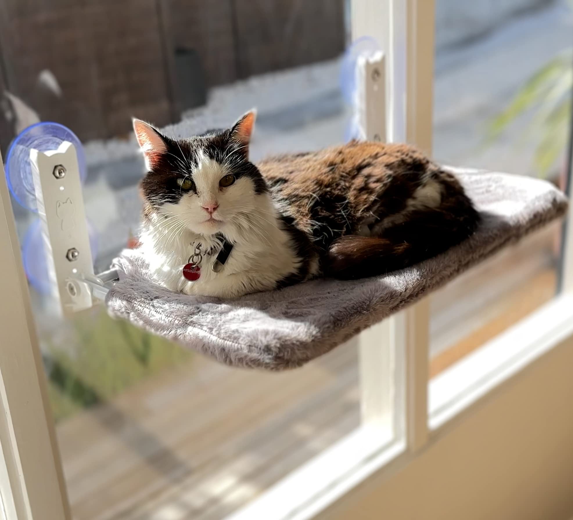 AUSSIE FURBABY Cat Hammock Foldable Cat Window Perch Cat Bed - Cordless Cat Window Bed Hammock. Washable XL Cat Window Seat, Foldable Cat Window Hammock Sunbathing Cat Hammock Window Cat Toy 50x30cm